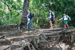 BIB: 
                            <button type="button" onclick="openModal(27720301)" class="btn btn-primary btn-sm float-right btn-popup" data-toggle="modal" data-target=".modal-high-quality">
                        <i class="fas fa-shopping-cart"></i> Add to Cart
                    </button>
                                            <button type="button" onclick="isThisMe(27720301, true)" class="btn btn-success btn-sm float-right btn-popup btn-isme hidden" data-toggle="tooltip" data-placement="bottom" title="นี่คือรูปของคุณใช่ไหม คลิกที่นี่เพื่อเอาเข้าอัลบั้ม">
                        <i class="fas fa-plus"></i> Add to album
                    </button>
                    <button type="button" onclick="isThisMe(27720301, false)" class="btn btn-warning btn-sm float-right btn-popup btn-isnotme hidden">
                        <i class="fas fa-ban"></i> Remove from album
                    </button>